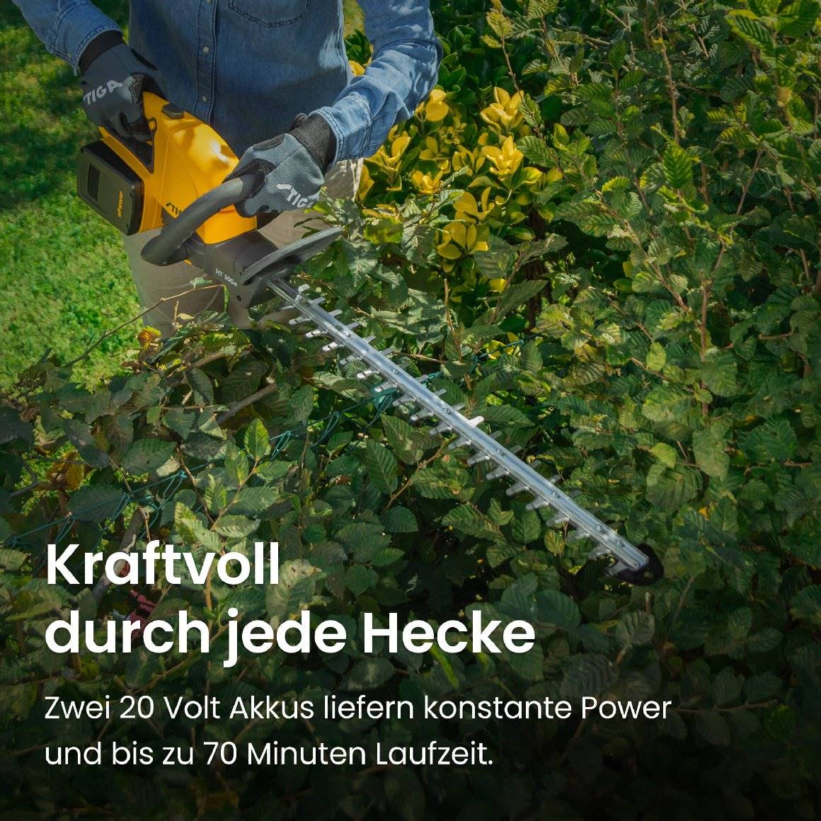 Stiga Akku-Heckenschere HT 300e Kit mit 2 x 2 Ah Akku und Ladegerät - Image 2