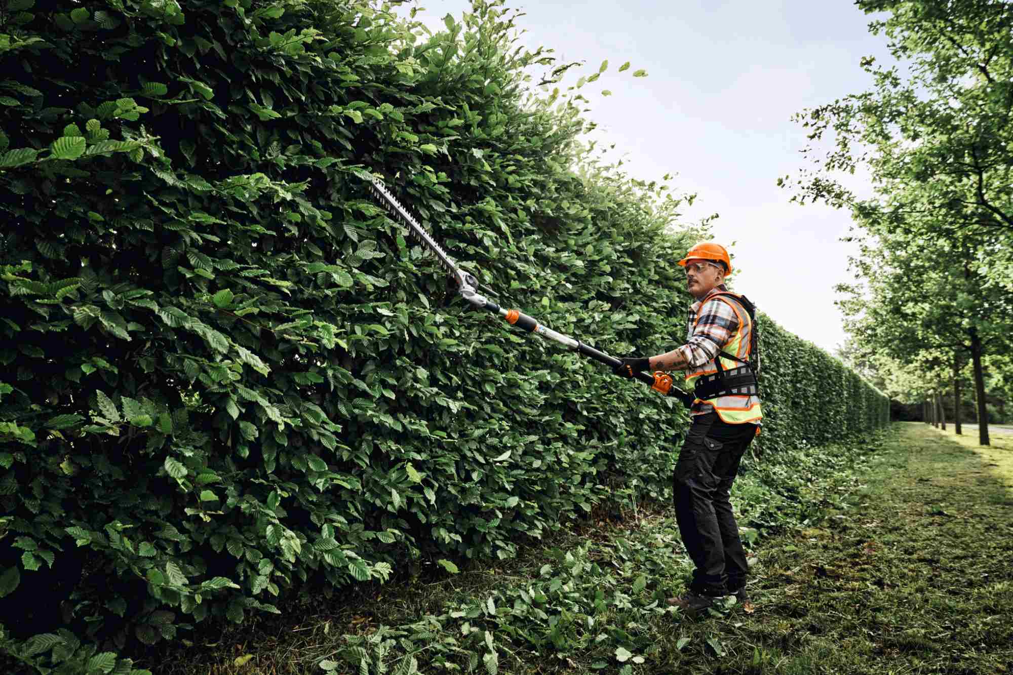 STIHL Akku-Heckenschneider HLA 150 B, Schnittlänge 60 cm - Image 10