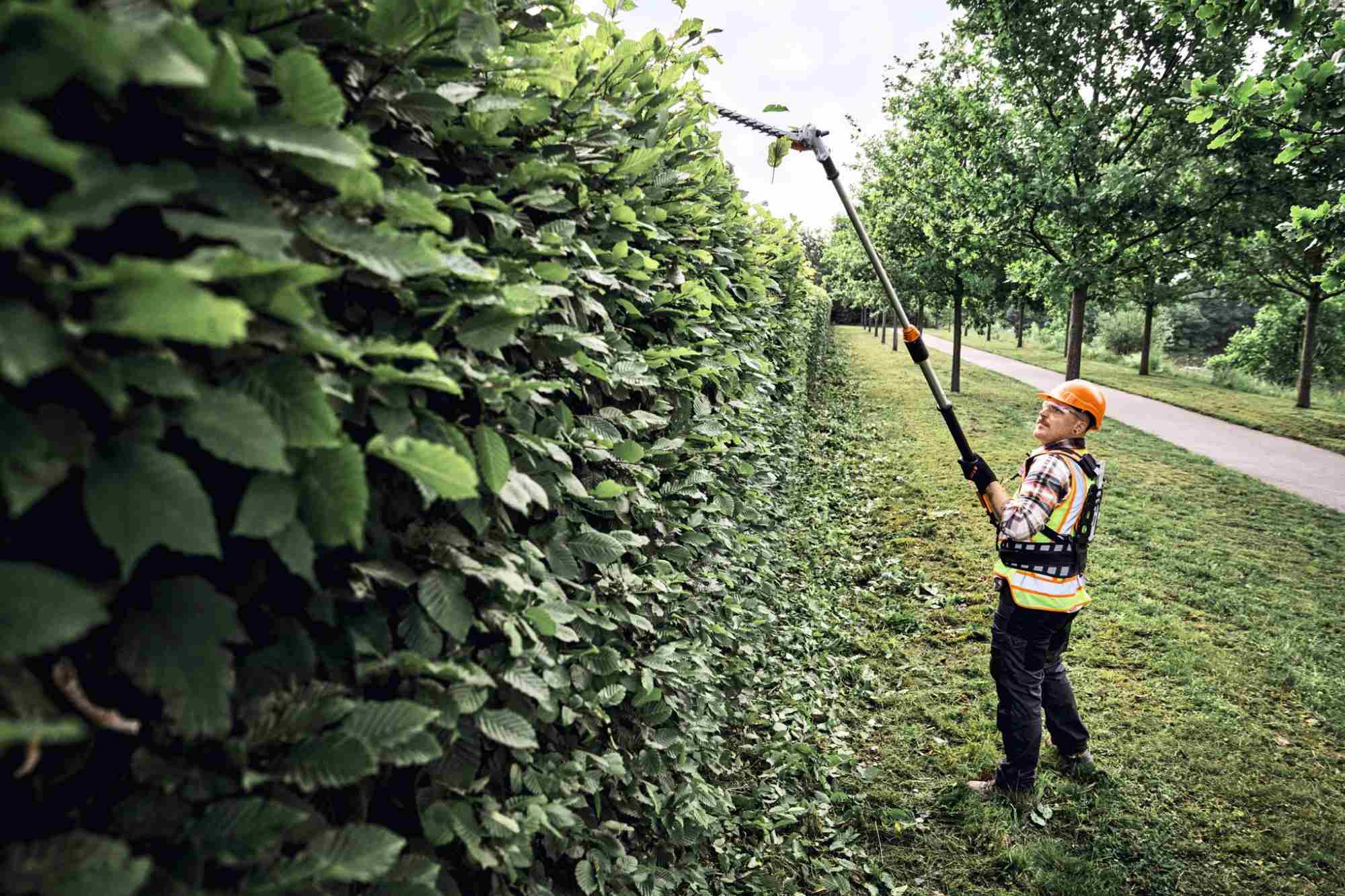 STIHL Akku-Heckenschneider HLA 150 B, Schnittlänge 60 cm - Image 7