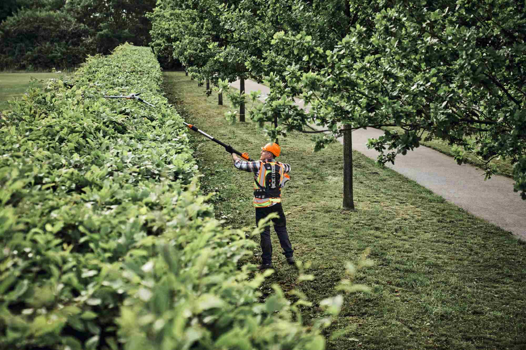 STIHL Akku-Heckenschneider HLA 150 B, Schnittlänge 60 cm - Image 9