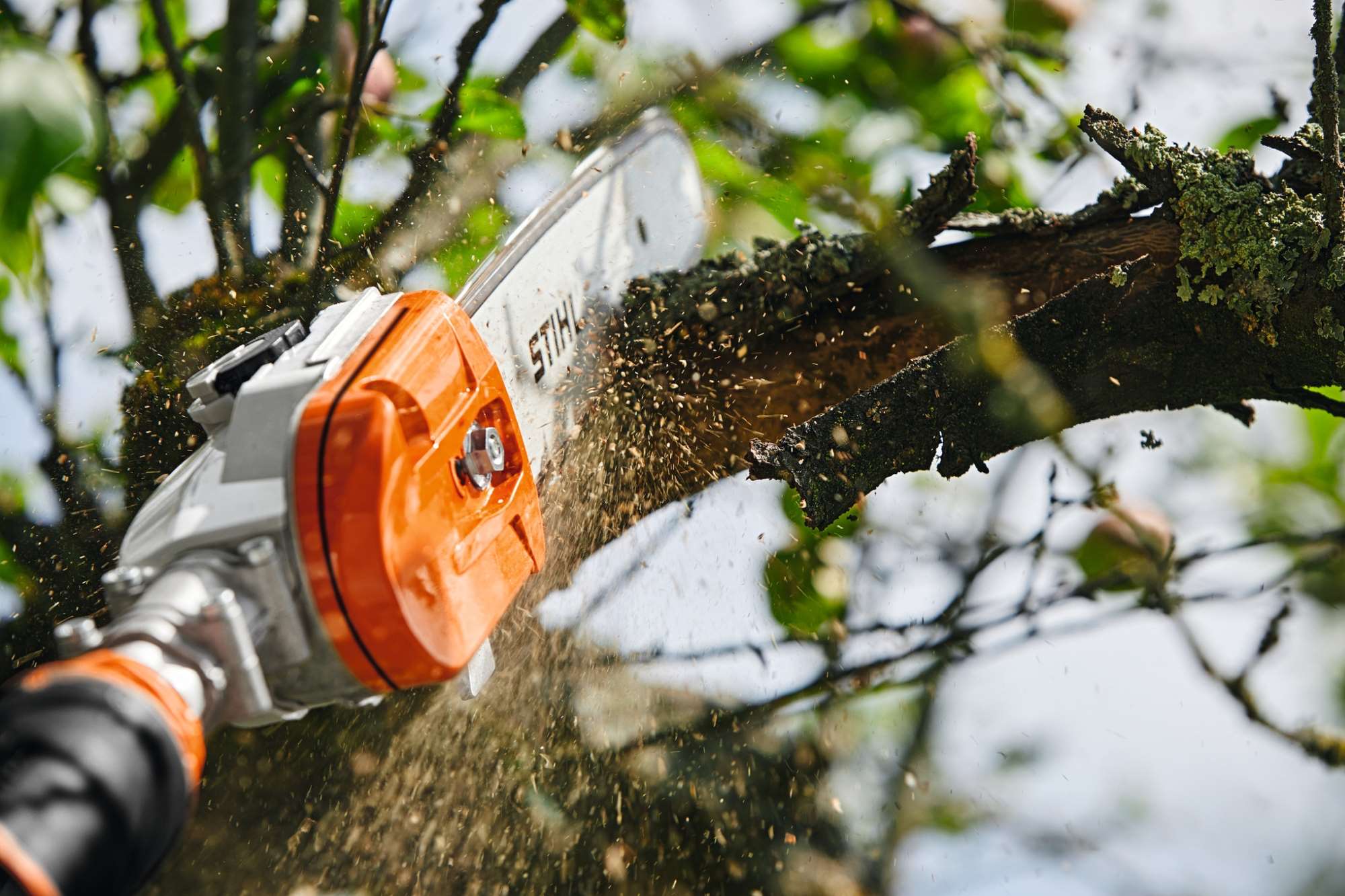 STIHL Akku-Hochentaster HTA 140 B, Grundgerät 30 cm /71 PM3 - ohne Akku und Ladegerät - Image 6