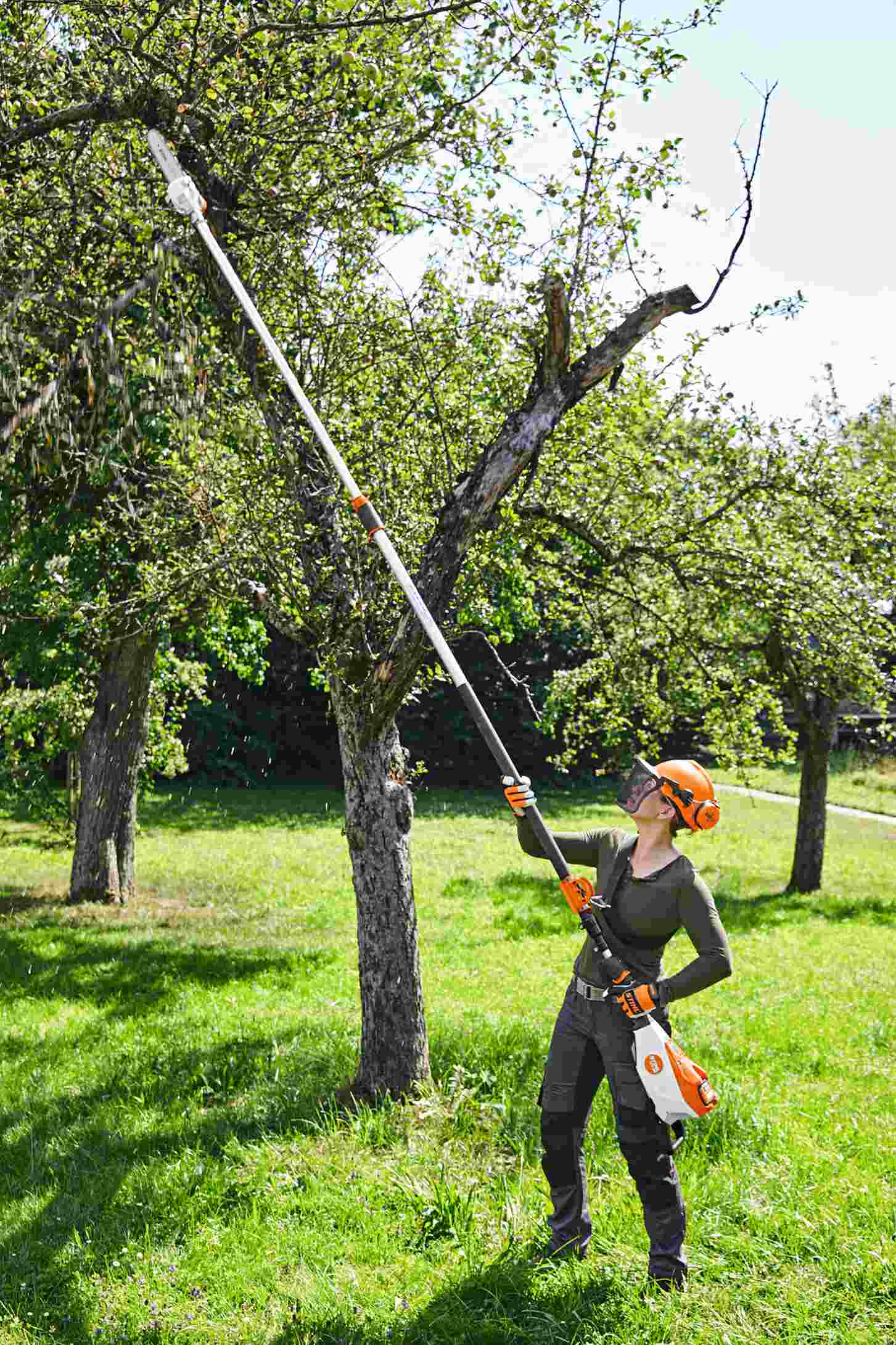 STIHL Akku-Hochentaster HTA 140 B, Grundgerät 30 cm /71 PM3 - ohne Akku und Ladegerät - Image 7