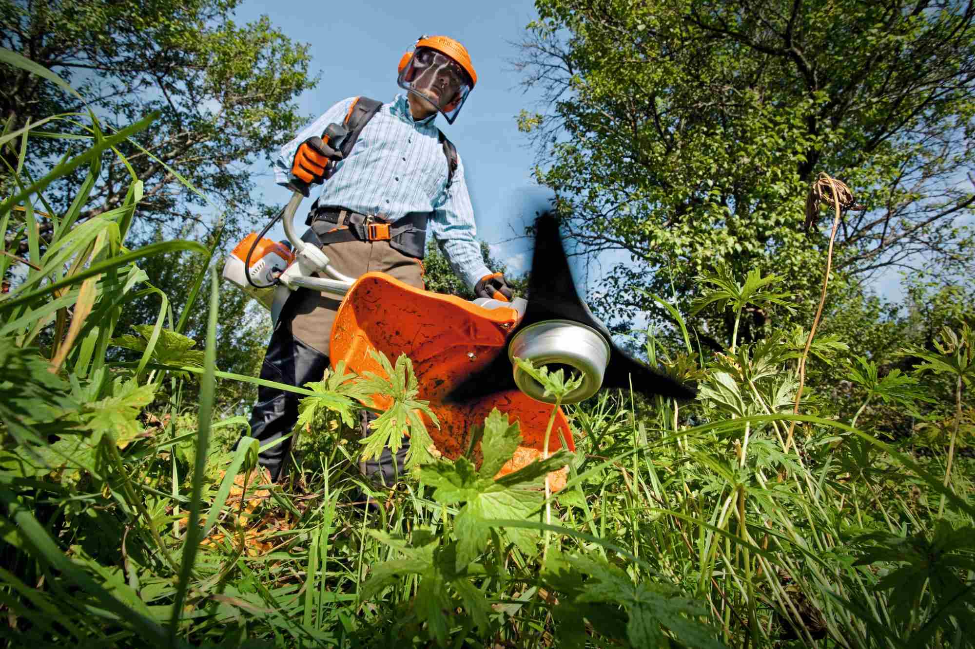 STIHL Freischneider FS 240 C-E / DM 250-3 - Image 2